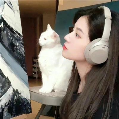 猫之茗第二季